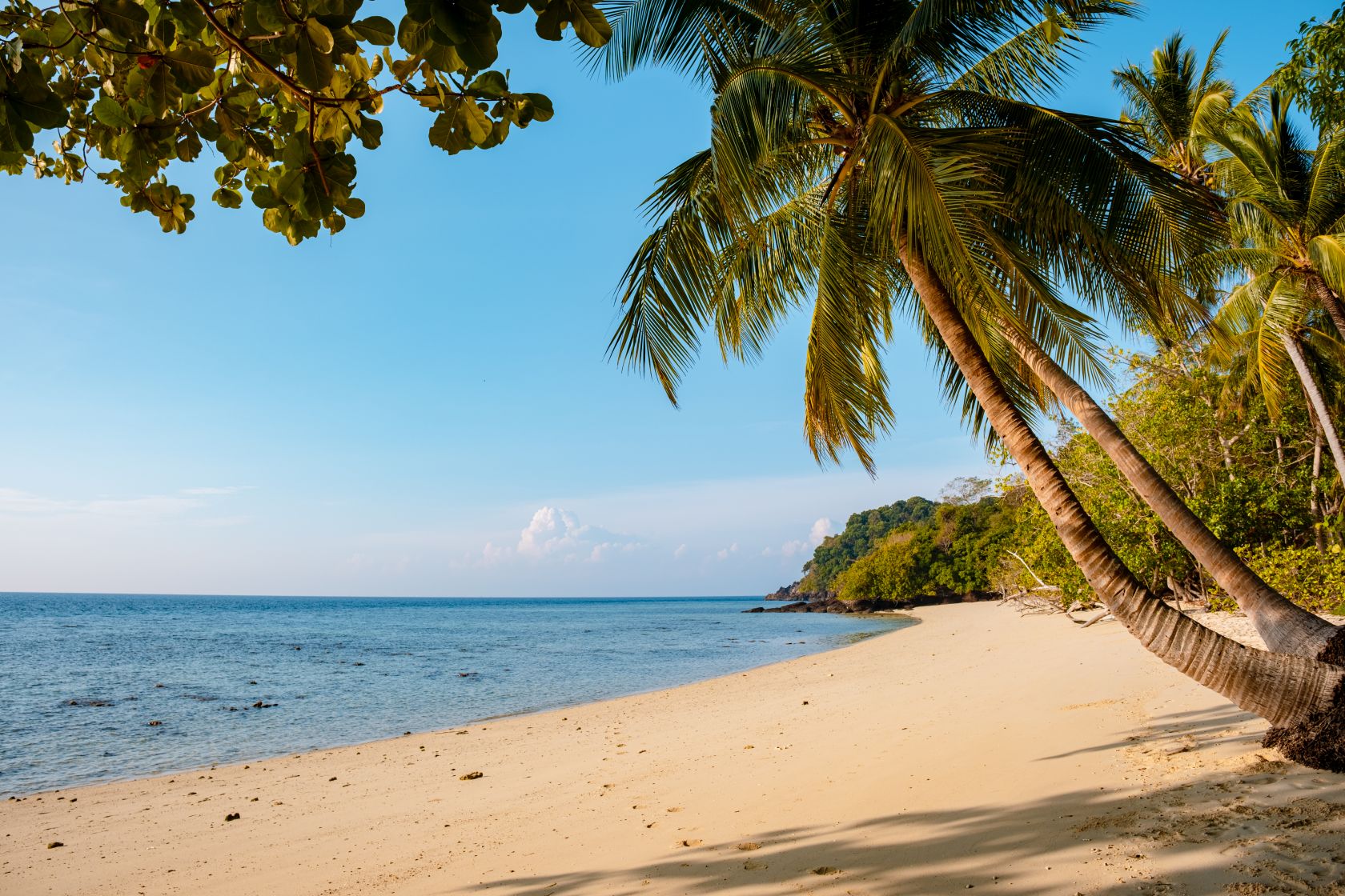 Protecting the best beach in the world - Vimarsana News