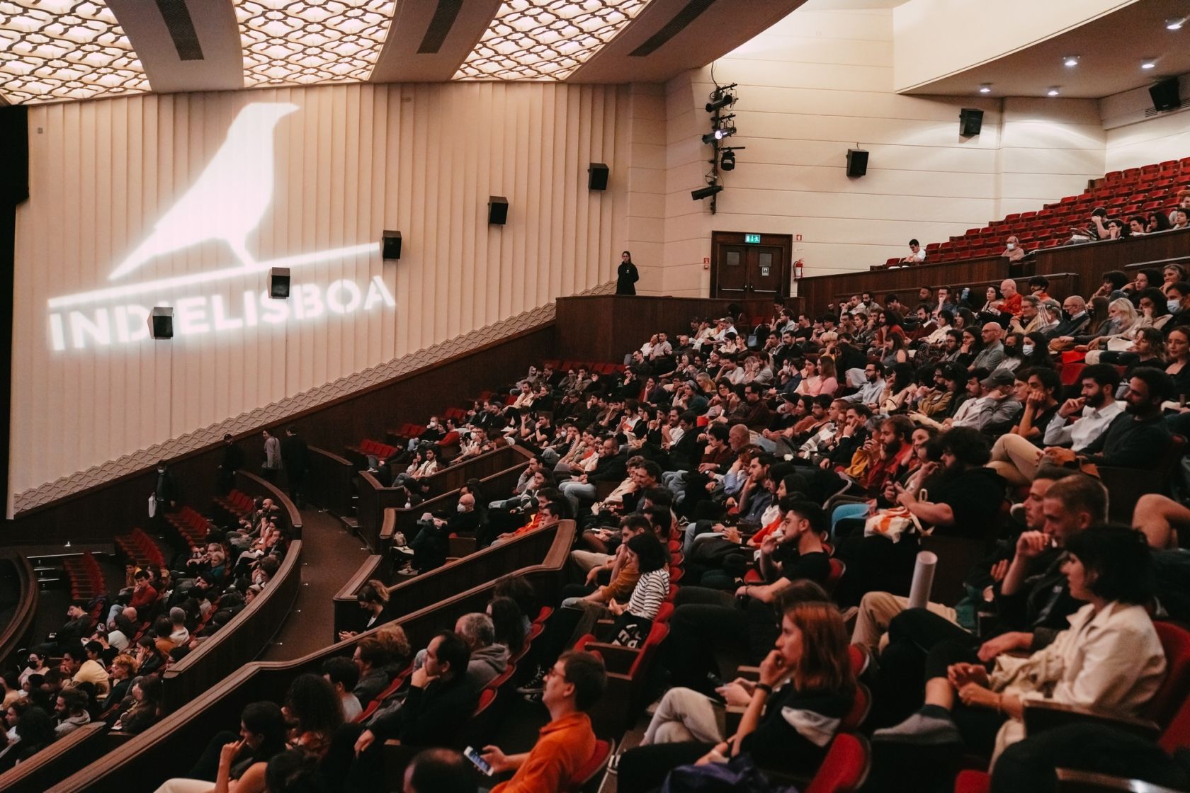 IndieLisboa Film Festival celebrates 20 editions - Vimarsana News