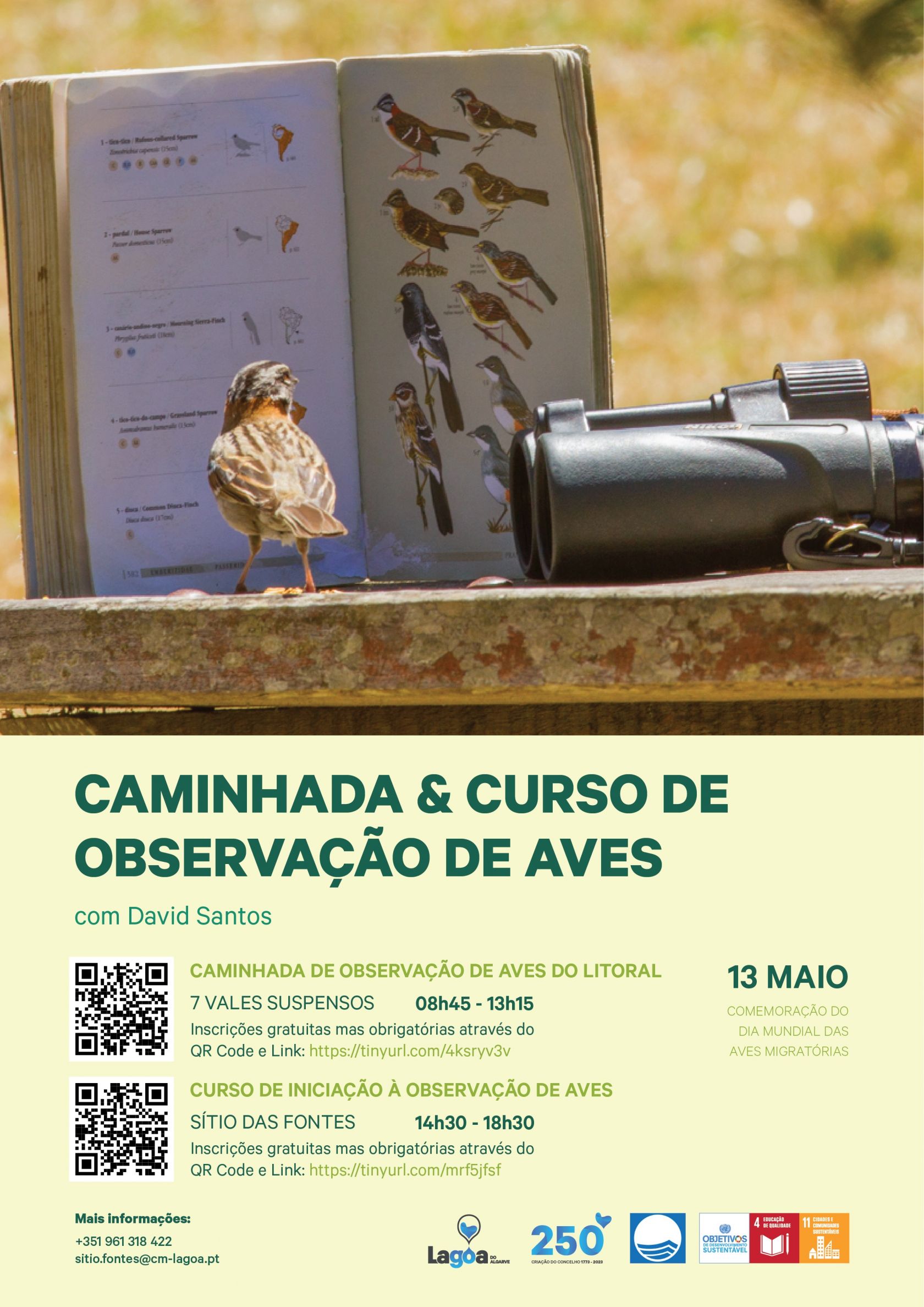 Bird watching day in Lagoa - Vimarsana News