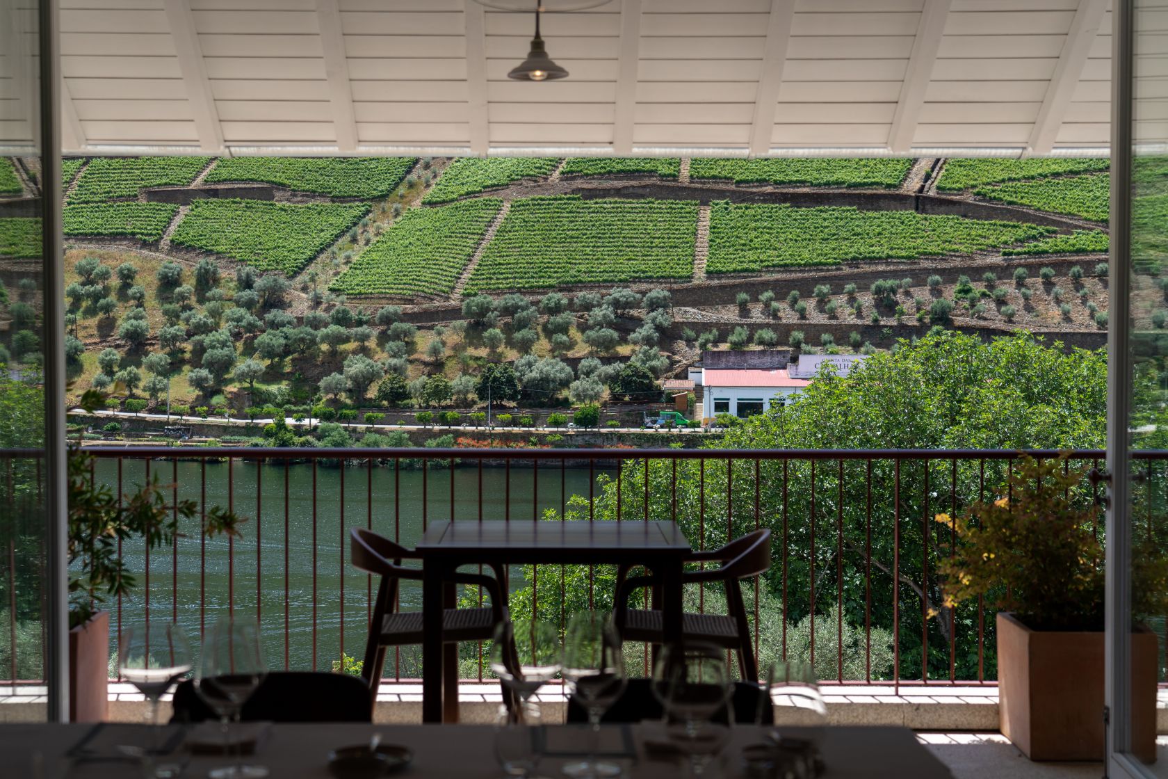 Porto's pivot into a culinary powerhouse is complete – but what's on the menu? - Vimarsana News