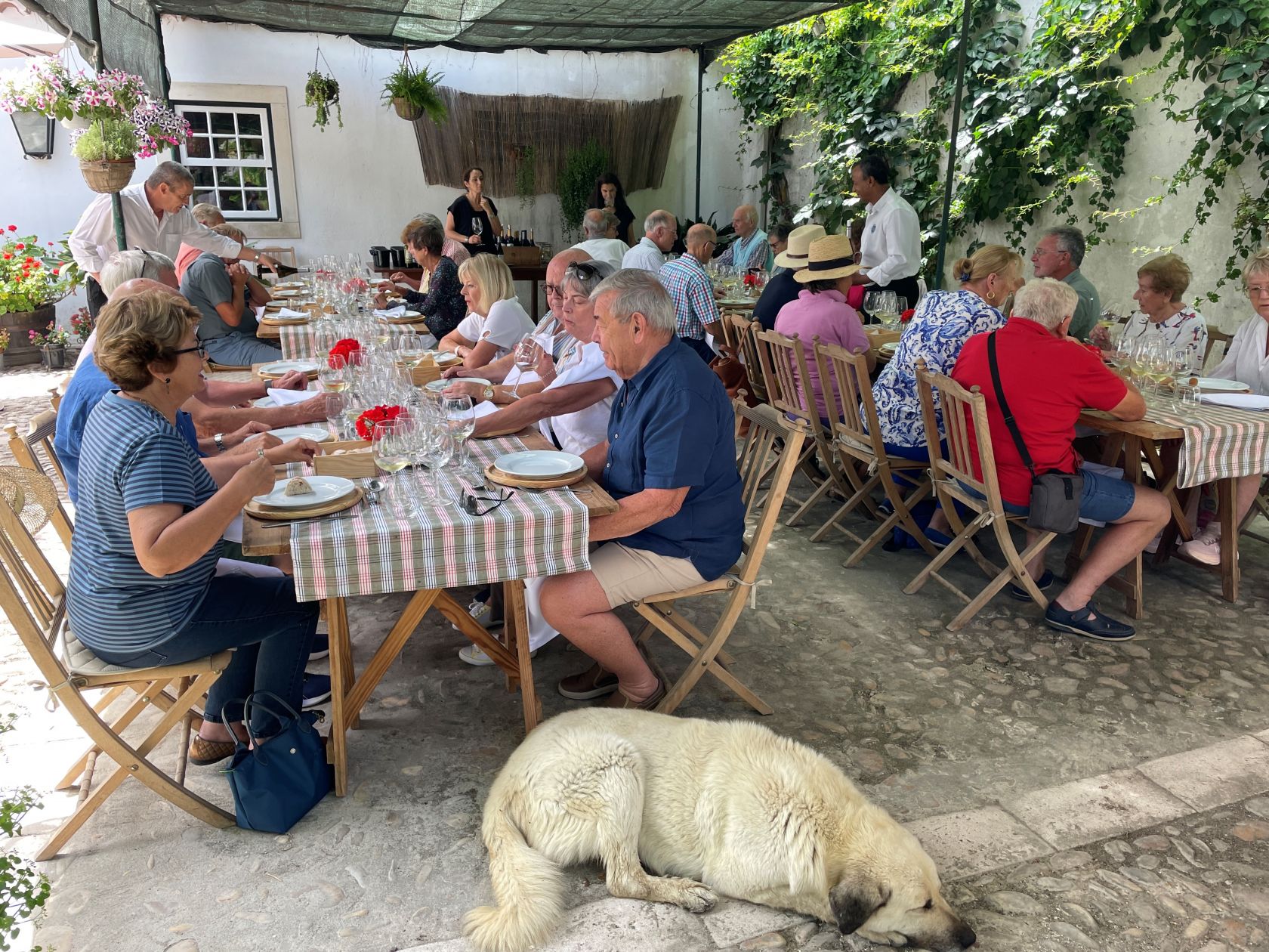 AWS rides away to the Tejo - Vimarsana News