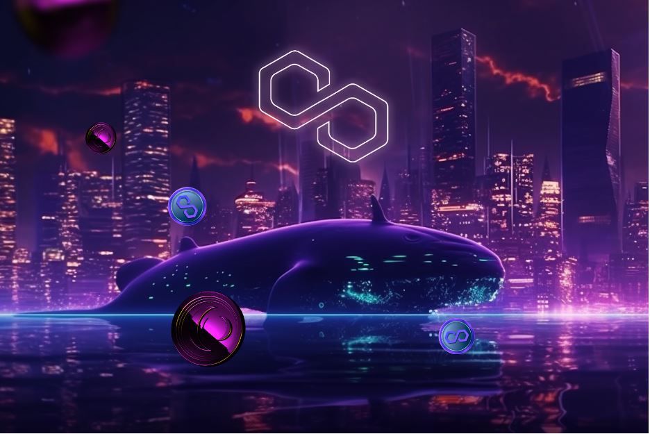 Why Is Collateral Network (COLT) Gaining Massive Interest While Axie Infinity (AXS) And Polygon (MATIC) Decline - Vimarsana News