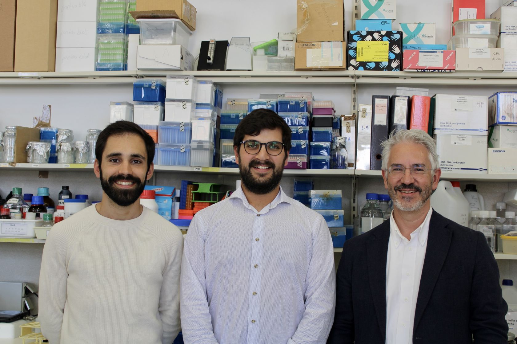 Coimbra researchers discover innovative therapy for Machado-Joseph Disease - Vimarsana News