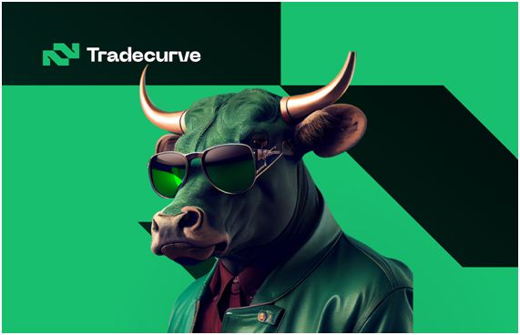 Tradecurve and Stacks STX charts showing bullish signs: which crypto will keep momentum - Vimarsana News