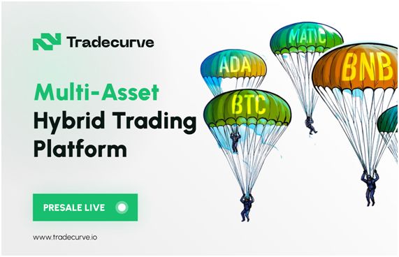 Battle of non-custodial exchanges, Loopring, Tradecurve - which altcoin has a brighter future? - Vimarsana News