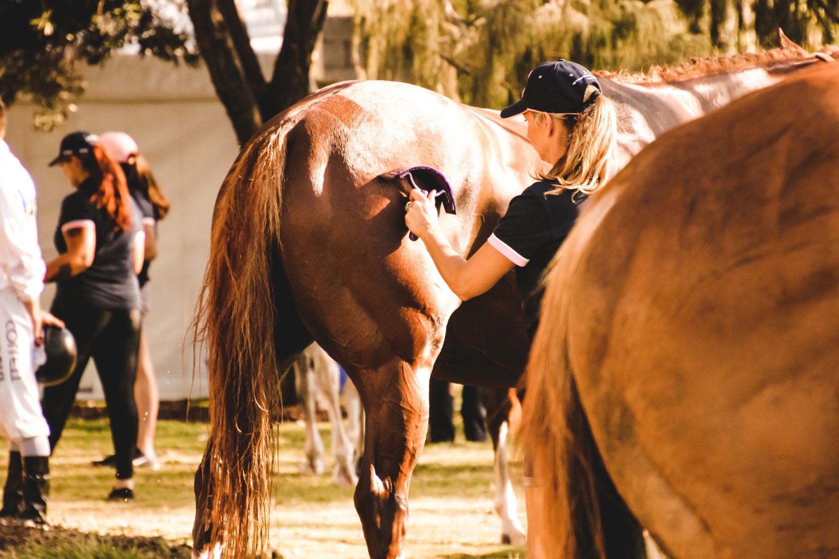 Over 100 participants in equestrian talent programme - Vimarsana News
