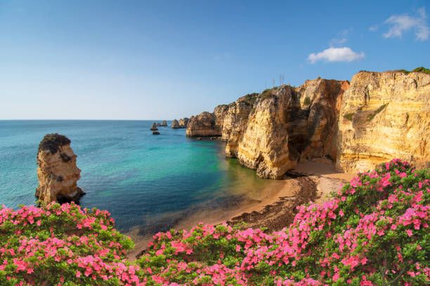 Free Drop-in Financial Clinics Across Portugal - Vimarsana News